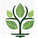 Holistyczne podejście